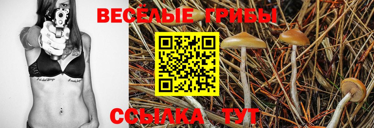 Псилоцибиновые грибы GOLDEN TEACHER Ханты-Мансийск