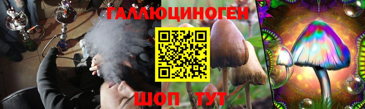 Галлюциногенные грибы Psilocybine cubensis  цена   Ханты-Мансийск  Вход с VPN 